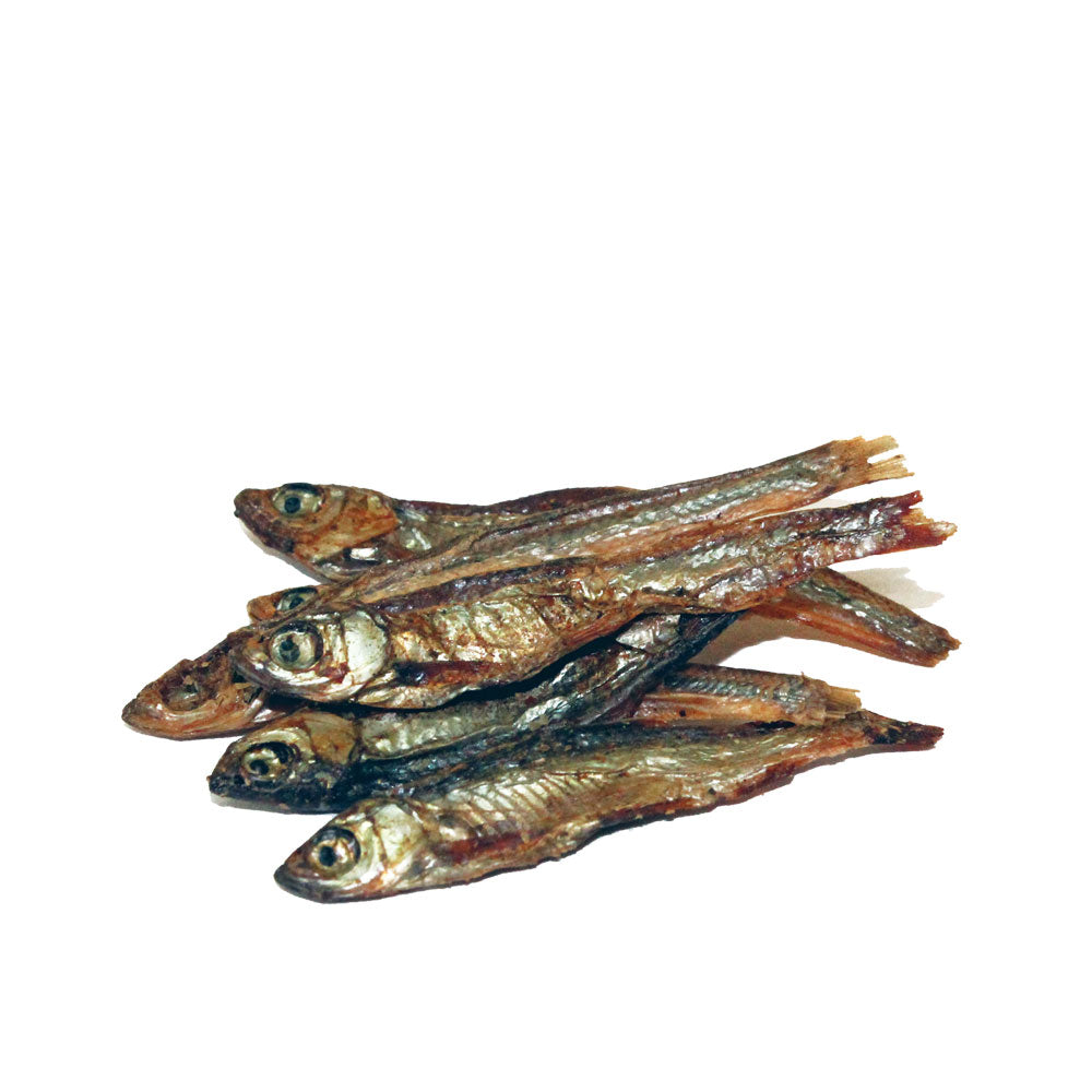 PRODAC Tartafood Fish
