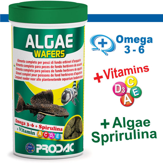 PRODAC Algae Wafers Mini