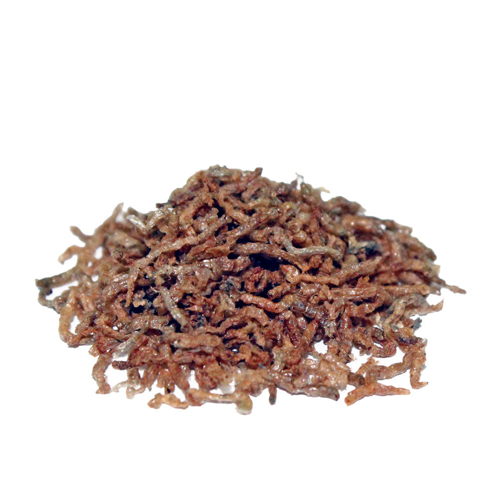 PRODAC Blooworms Chironomus