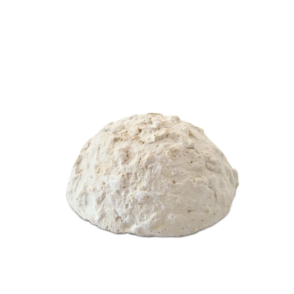 PRODAC Holiday Food