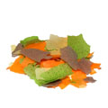PRODAC Goldfish Flakes