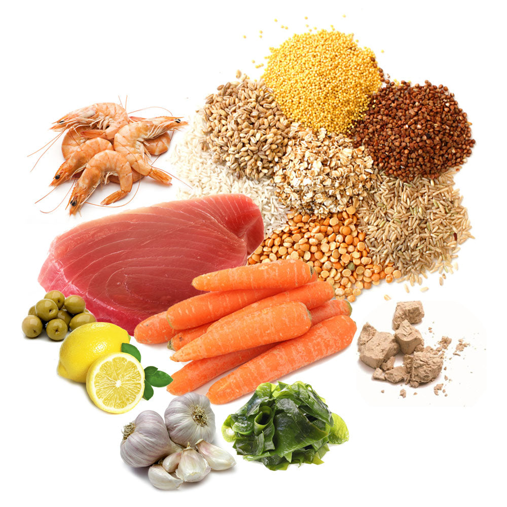 PRODAC Garlic Fish Flakes